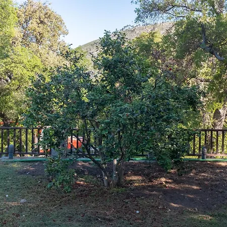 Doctors' House 度假居