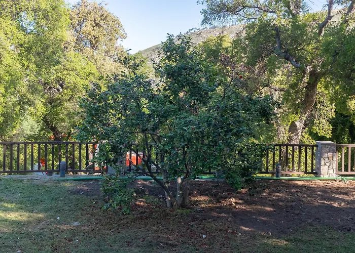 Doctors' House 度假居